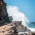 ZAF WC CapePoint 2016NOV14 CapeOfGoodHope 006 : 2016, 2016 - African Adventures, Africa, November, South Africa, Southern, Western Cape, Cape Point, Cape Peninsula, Cape Town, Cape Of Good Hope